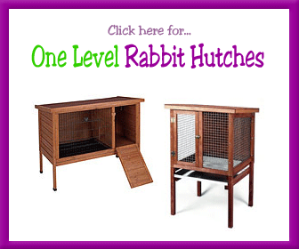 Outdoor Rabbit Hutch