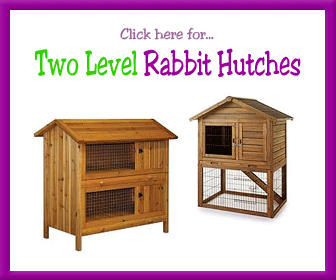 Rabbit Hutch