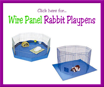 Rabbit Playpen