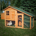 Boomer & George Deluxe Chicken Coop